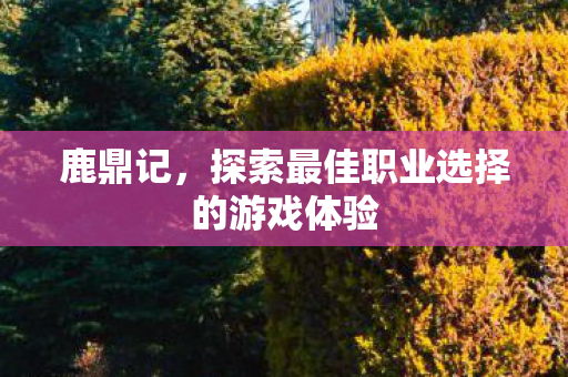 鹿鼎记，探索最佳职业选择的游戏体验