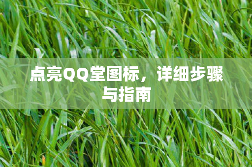 点亮QQ堂图标，详细步骤与指南
