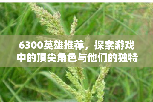 6300英雄推荐，探索游戏中的顶尖角色与他们的独特魅力