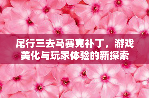 尾行三去马赛克补丁，游戏美化与玩家体验的新探索