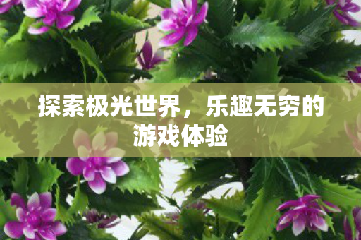 探索极光世界，乐趣无穷的游戏体验