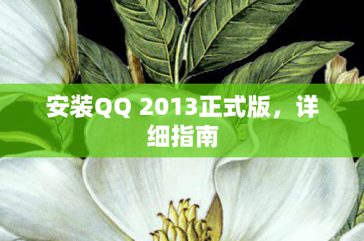安装QQ 2013正式版，详细指南