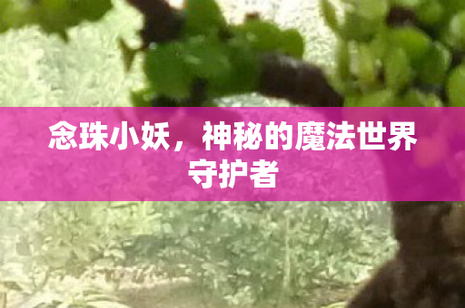 念珠小妖，神秘的魔法世界守护者