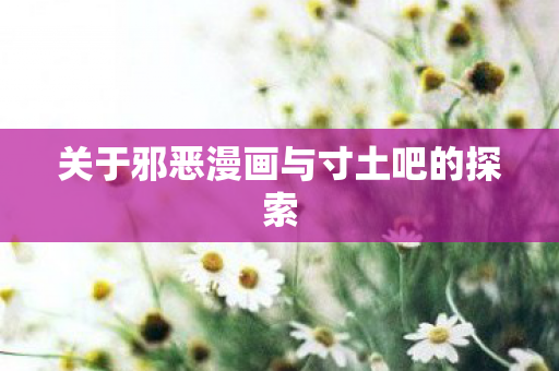 关于邪恶漫画与寸土吧的探索