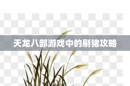 天龙八部游戏中的刷猪攻略