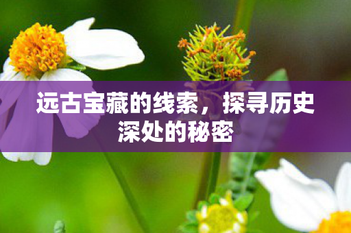 远古宝藏的线索，探寻历史深处的秘密