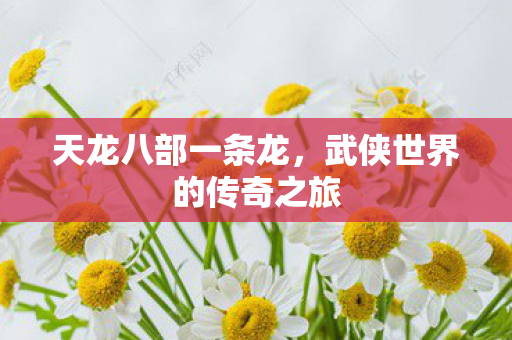 天龙八部一条龙，武侠世界的传奇之旅