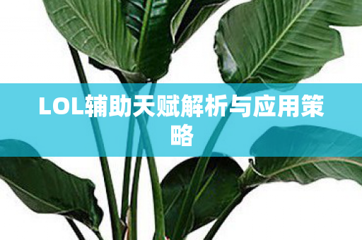 LOL辅助天赋解析与应用策略