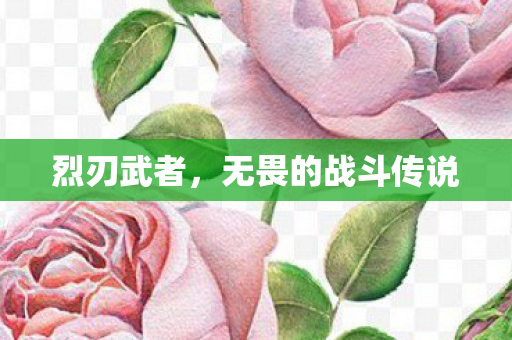 烈刃武者，无畏的战斗传说