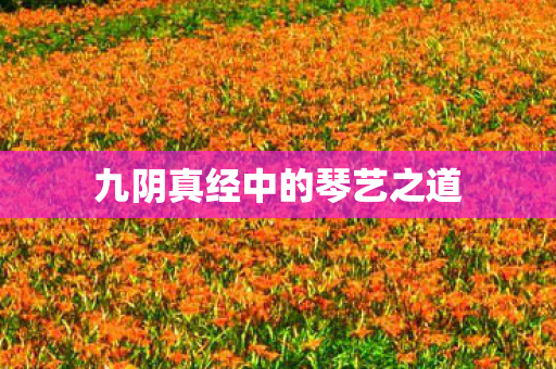 九阴真经中的琴艺之道