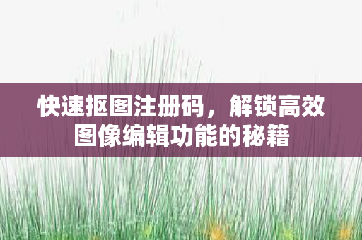 快速抠图注册码，解锁高效图像编辑功能的秘籍