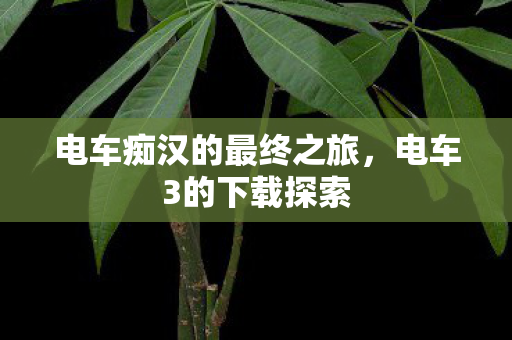 电车痴汉的最终之旅，电车3的下载探索