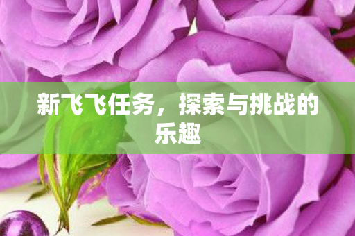 新飞飞任务，探索与挑战的乐趣