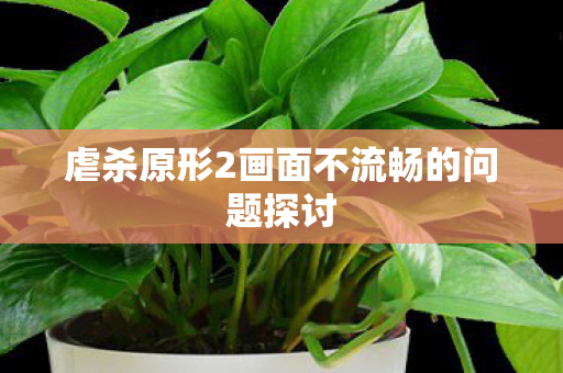 虐杀原形2画面不流畅的问题探讨
