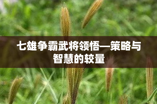 七雄争霸武将领悟—策略与智慧的较量