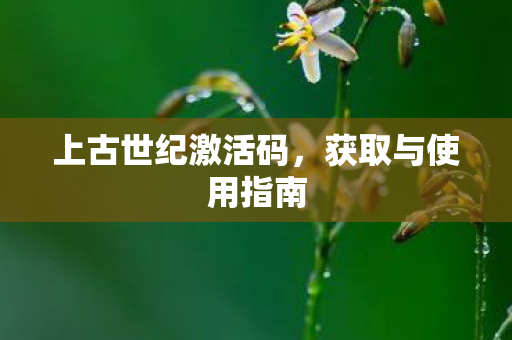 上古世纪激活码，获取与使用指南