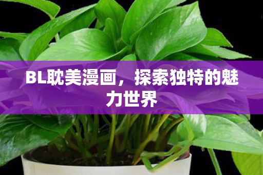 BL耽美漫画，探索独特的魅力世界