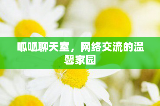 呱呱聊天室，网络交流的温馨家园