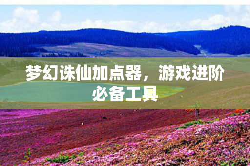 梦幻诛仙加点器，游戏进阶必备工具