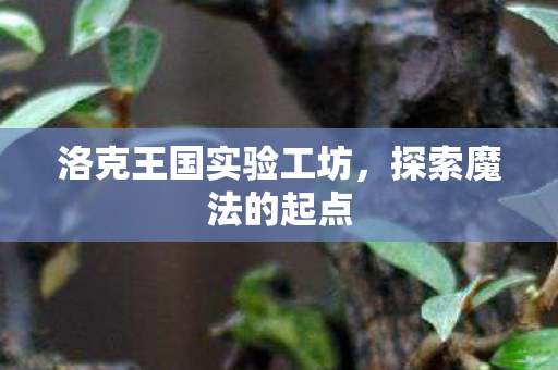 洛克王国实验工坊,探索魔法的起点 洛克王国实验工坊,探索魔法的起点