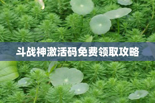 斗战神激活码免费领取攻略