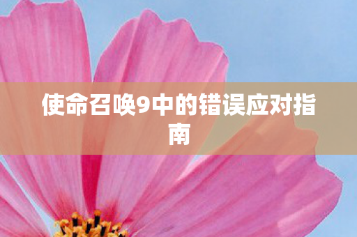 使命召唤9中的错误应对指南