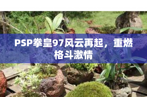 PSP拳皇97风云再起,重燃格斗激情 PSP拳皇97风云再起,重燃格斗激情