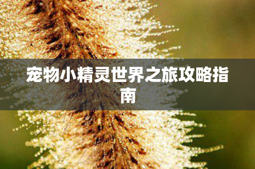 宠物小精灵世界之旅攻略指南