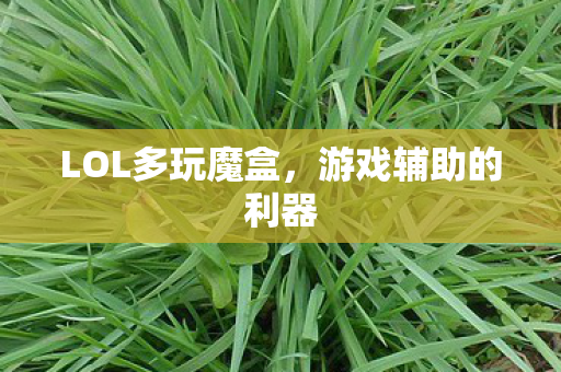 LOL多玩魔盒，游戏辅助的利器