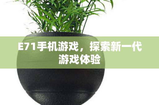 E71手机游戏，探索新一代游戏体验