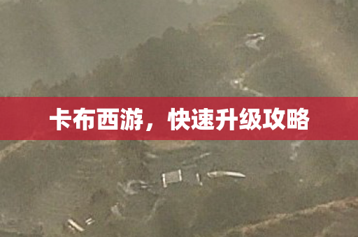 卡布西游，快速升级攻略