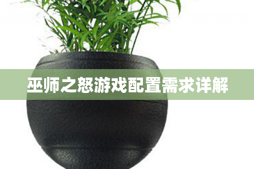 巫师之怒游戏配置需求详解