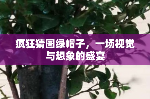 疯狂猜图绿帽子，一场视觉与想象的盛宴