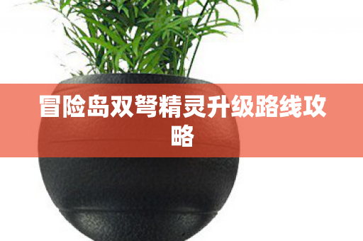 冒险岛双弩精灵升级路线攻略