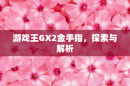 游戏王GX2金手指，探索与解析