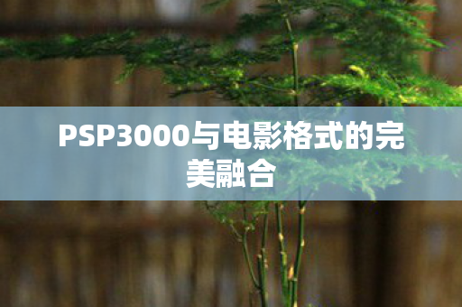 PSP3000与电影格式的完美融合 PSP3000与电影格式的完美融合