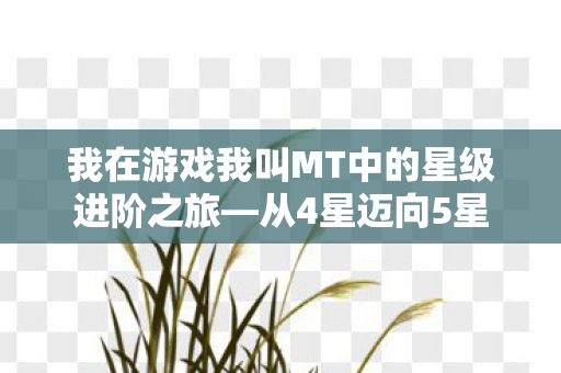 我在游戏我叫MT中的星级进阶之旅—从4星迈向5星