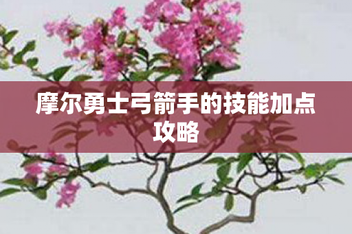 摩尔勇士弓箭手的技能加点攻略