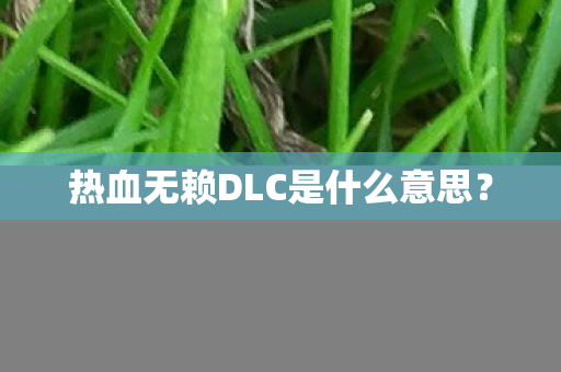热血无赖DLC是什么意思？