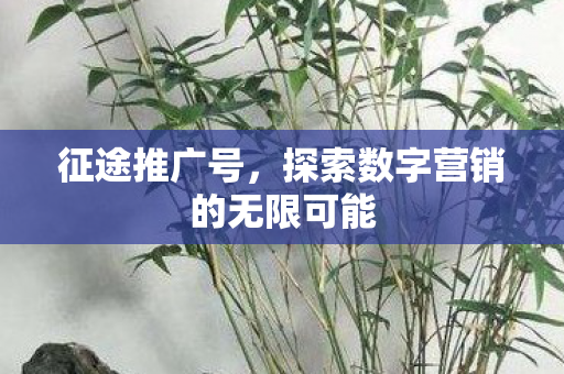 征途推广号，探索数字营销的无限可能