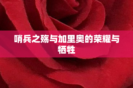 哨兵之殇与加里奥的荣耀与牺牲 哨兵之殇与加里奥的荣耀与牺牲