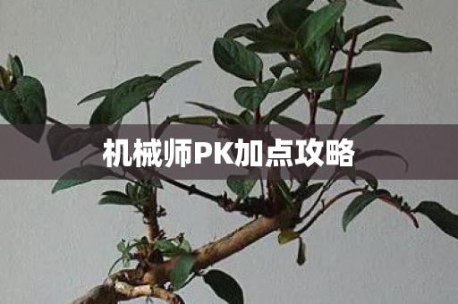 机械师PK加点攻略 机械师PK加点攻略