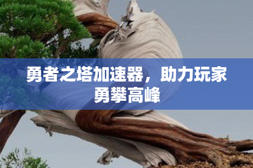 勇者之塔加速器，助力玩家勇攀高峰