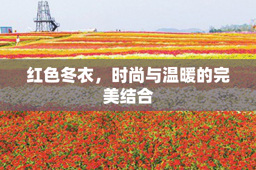 红色冬衣，时尚与温暖的完美结合
