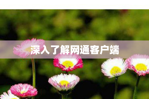 深入了解网通客户端 深入了解网通客户端