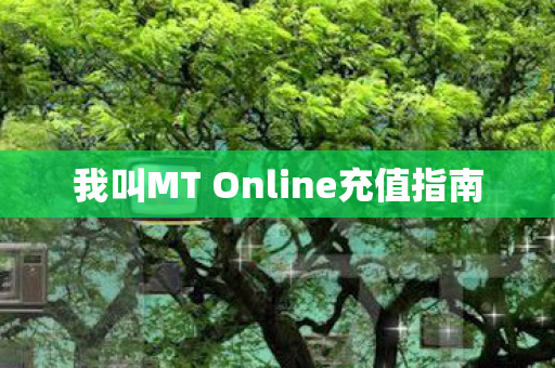 我叫MT Online充值指南