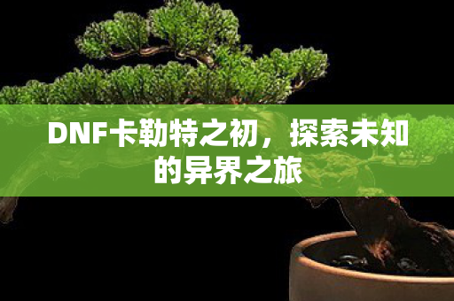DNF卡勒特之初,探索未知的异界之旅 DNF卡勒特之初,探索未知的异界之旅