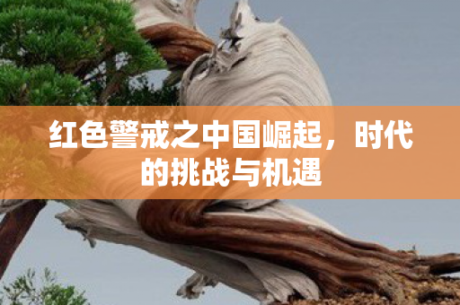 红色警戒之中国崛起，时代的挑战与机遇