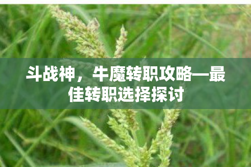 斗战神，牛魔转职攻略—最佳转职选择探讨
