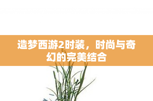造梦西游2时装，时尚与奇幻的完美结合